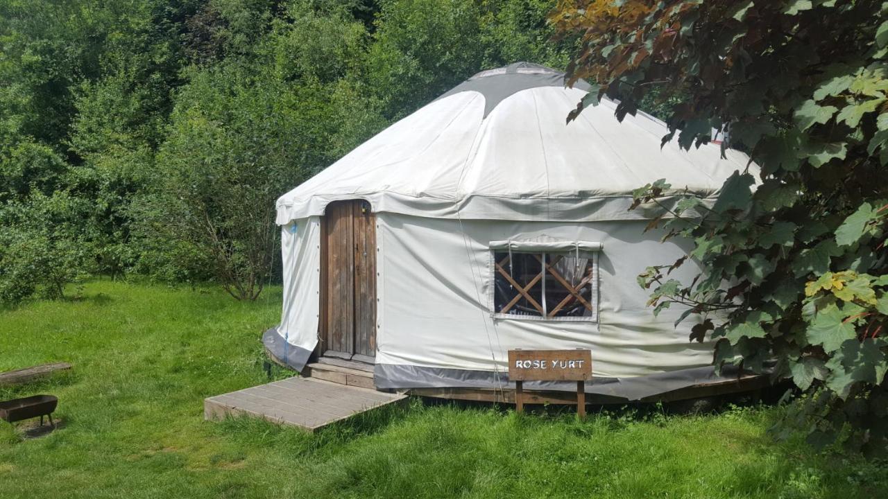 South Downs Eco Lodge & Camping East Meon Bagian luar foto