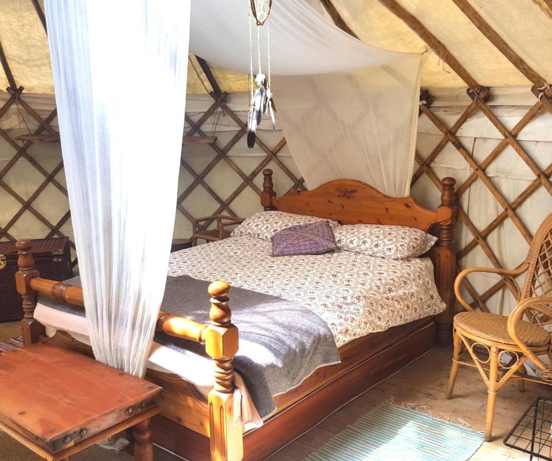 South Downs Eco Lodge & Camping East Meon Bagian luar foto