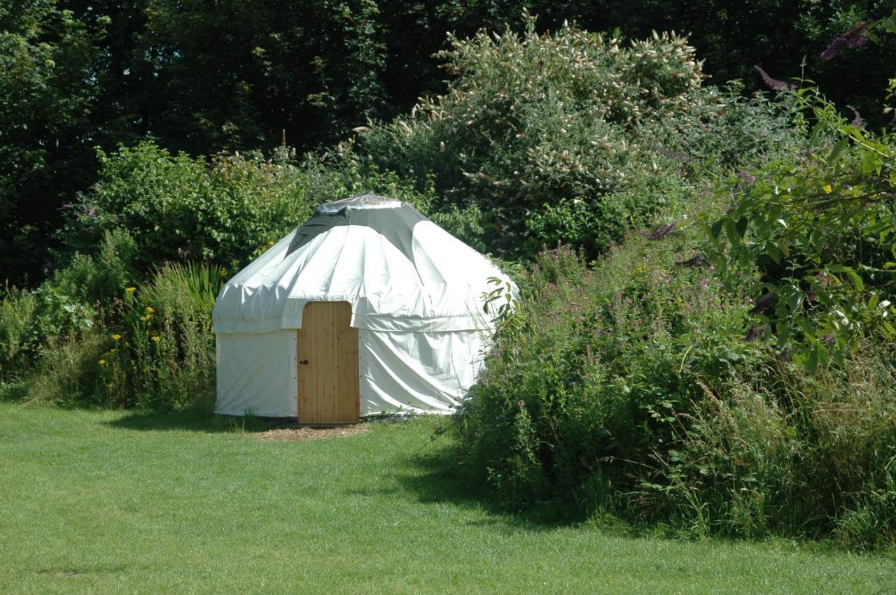 South Downs Eco Lodge & Camping East Meon Bagian luar foto