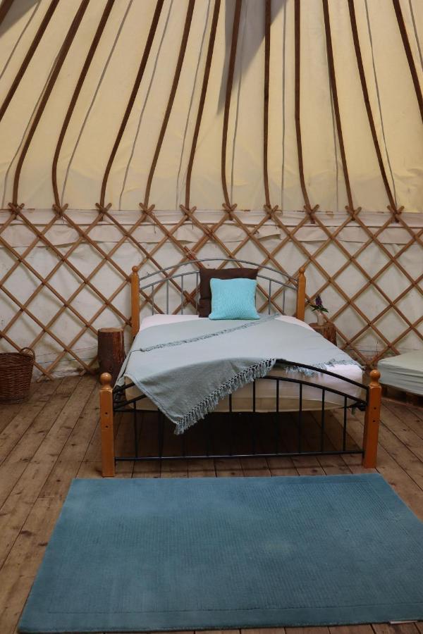 South Downs Eco Lodge & Camping East Meon Bagian luar foto
