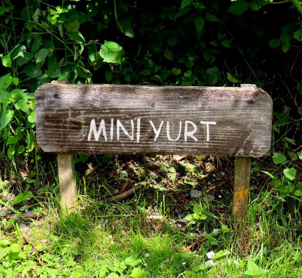 South Downs Eco Lodge & Camping East Meon Bagian luar foto