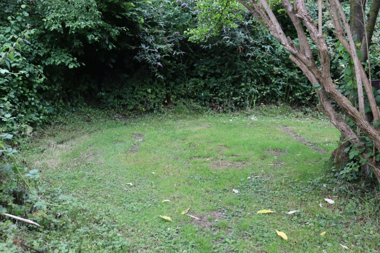 South Downs Eco Lodge & Camping East Meon Bagian luar foto