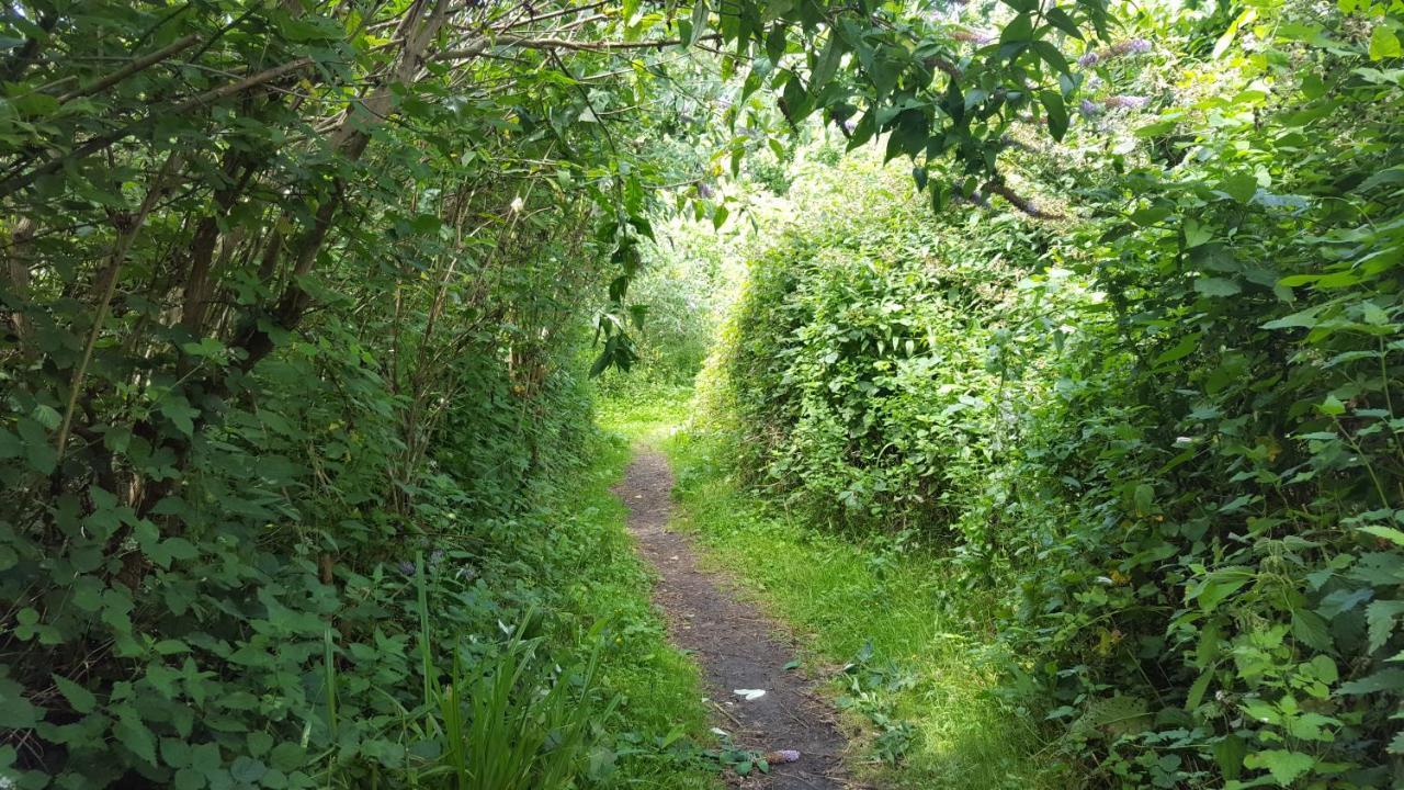 South Downs Eco Lodge & Camping East Meon Bagian luar foto