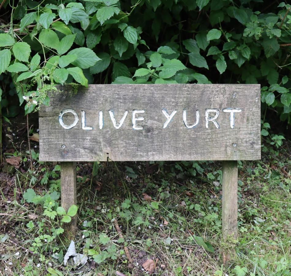 South Downs Eco Lodge & Camping East Meon Bagian luar foto