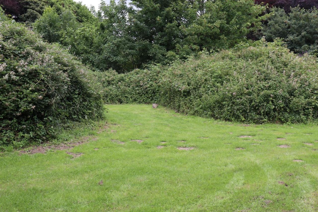 South Downs Eco Lodge & Camping East Meon Bagian luar foto