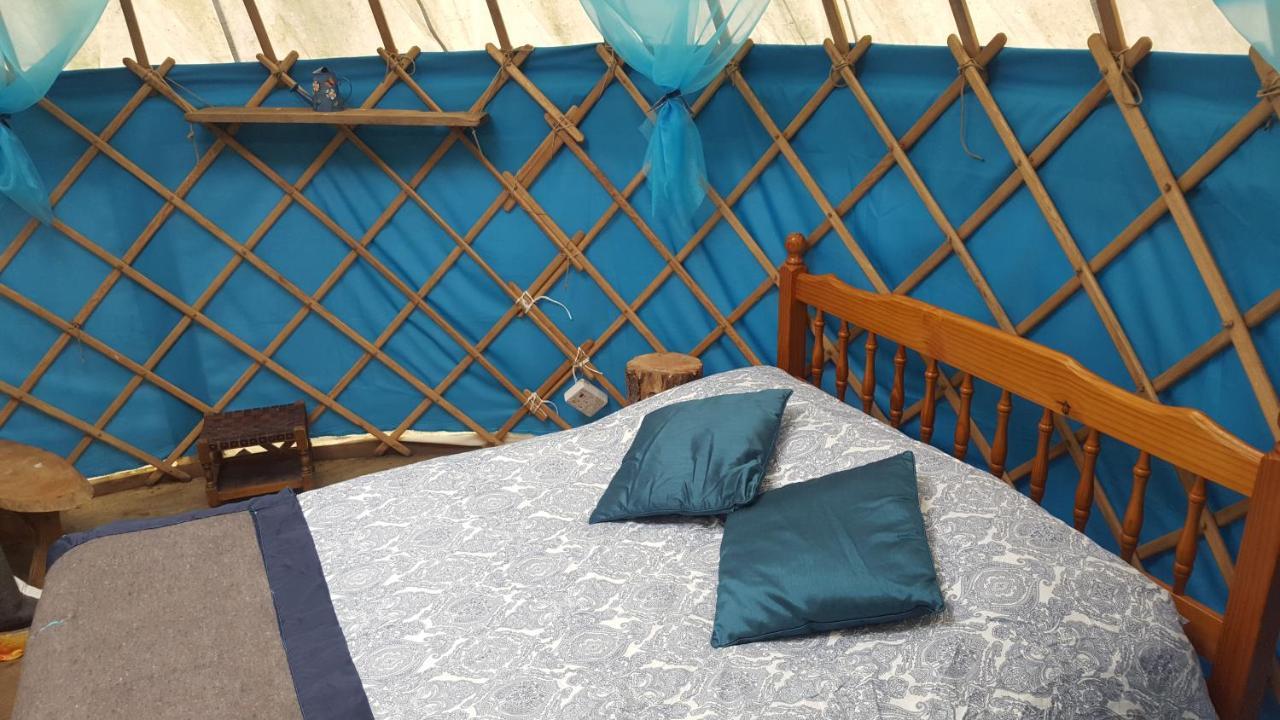 South Downs Eco Lodge & Camping East Meon Bagian luar foto