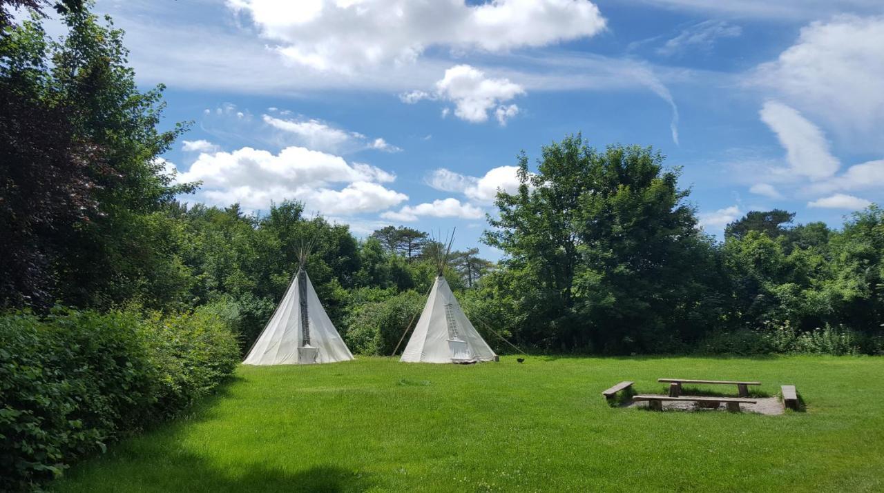 South Downs Eco Lodge & Camping East Meon Bagian luar foto