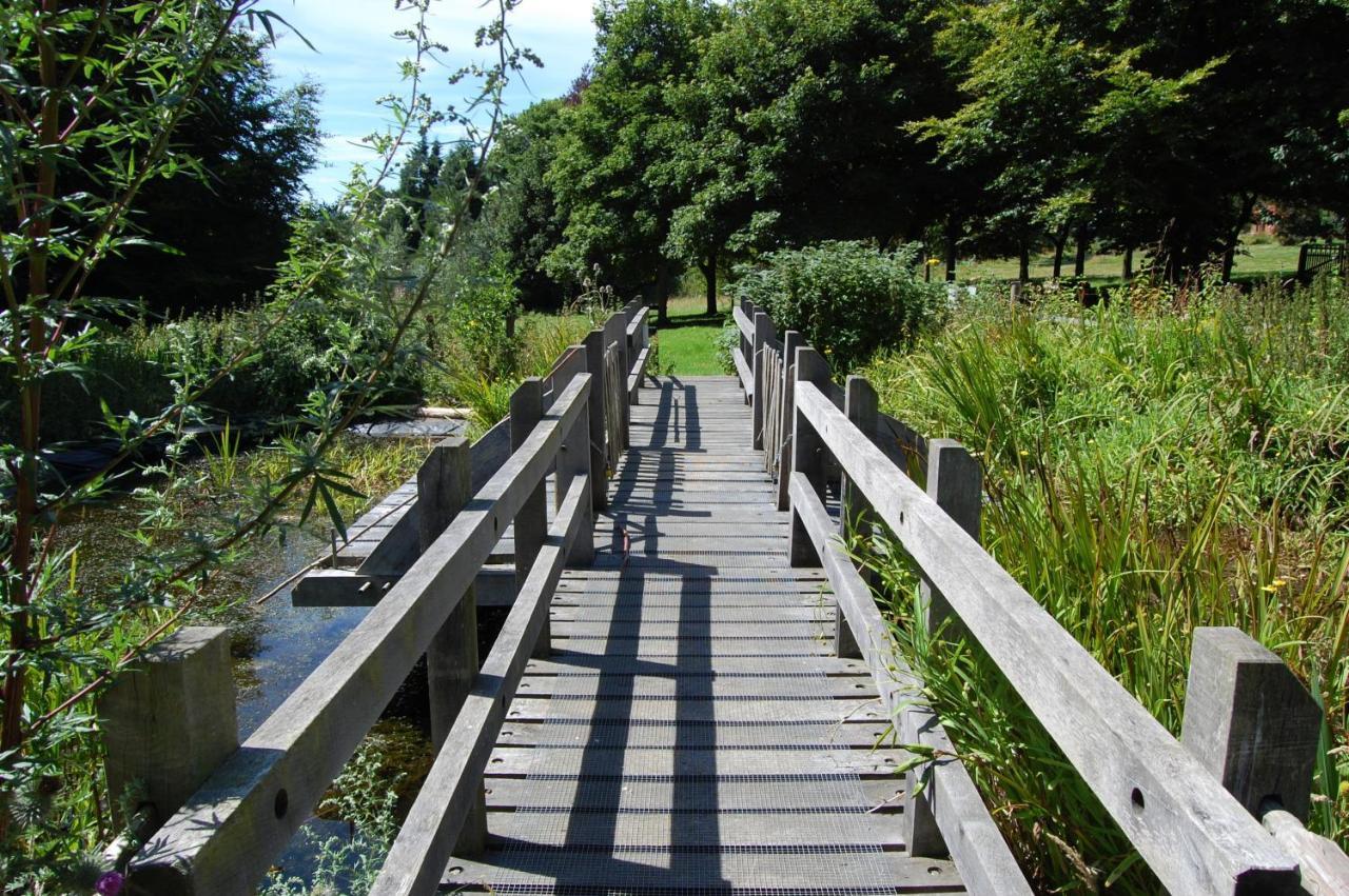 South Downs Eco Lodge & Camping East Meon Bagian luar foto