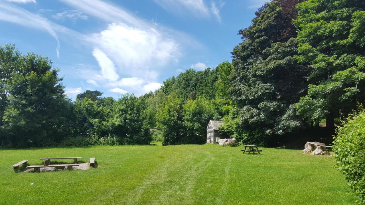 South Downs Eco Lodge & Camping East Meon Bagian luar foto