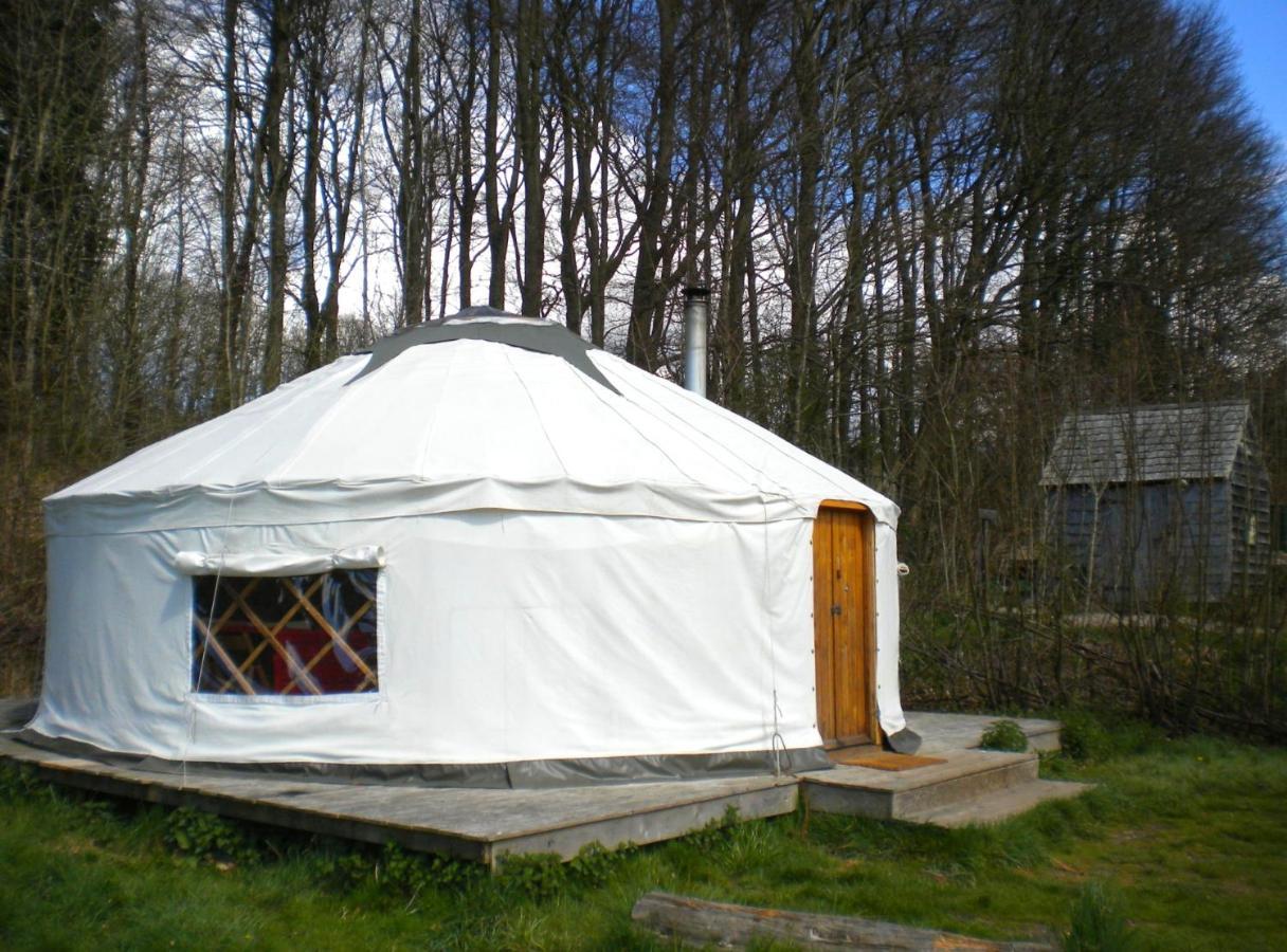 South Downs Eco Lodge & Camping East Meon Bagian luar foto