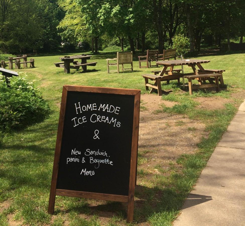South Downs Eco Lodge & Camping East Meon Bagian luar foto