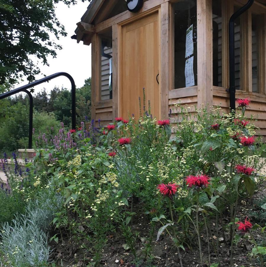 South Downs Eco Lodge & Camping East Meon Bagian luar foto
