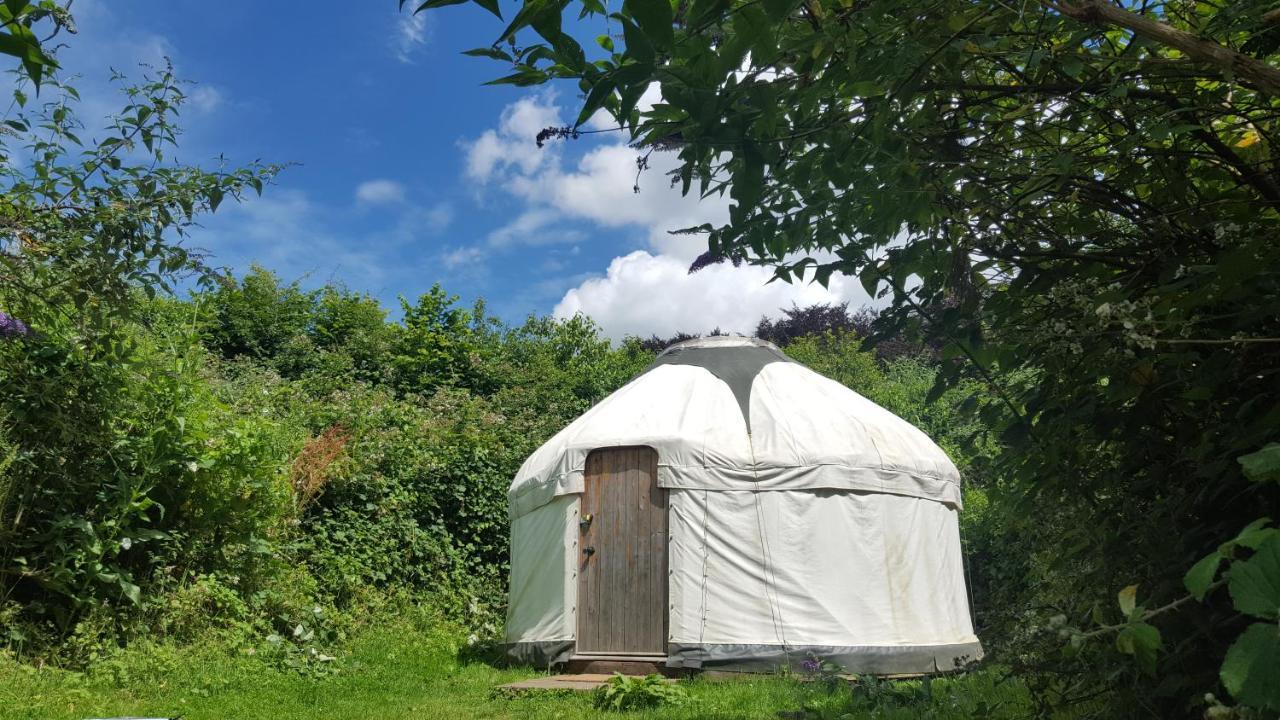 South Downs Eco Lodge & Camping East Meon Bagian luar foto