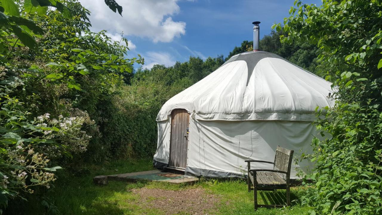 South Downs Eco Lodge & Camping East Meon Bagian luar foto