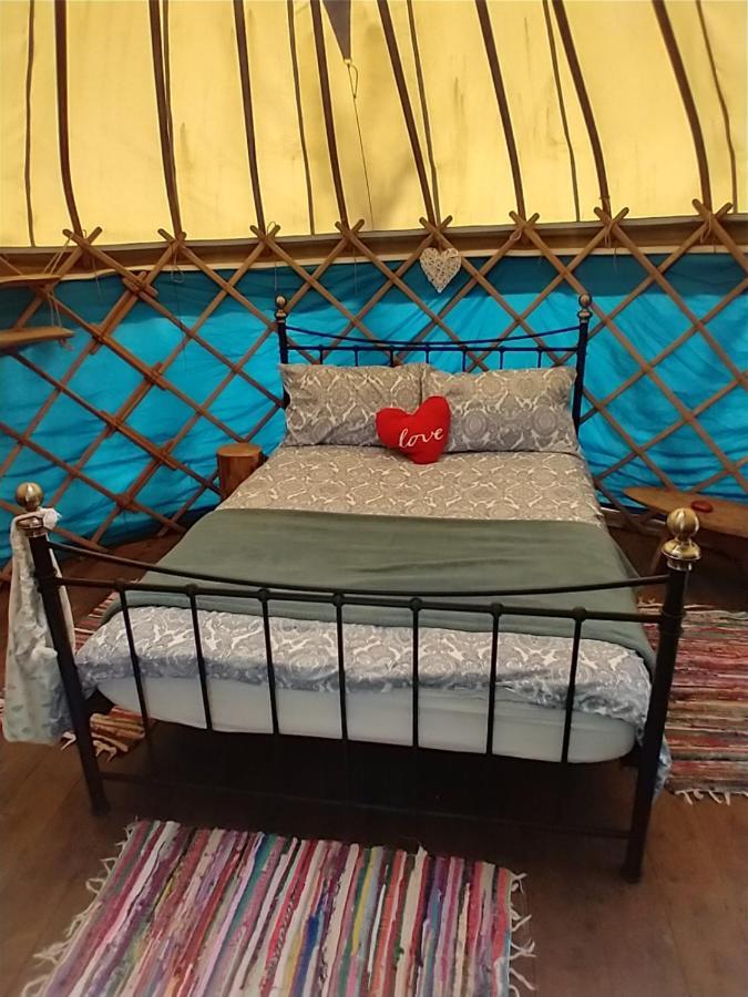 South Downs Eco Lodge & Camping East Meon Bagian luar foto